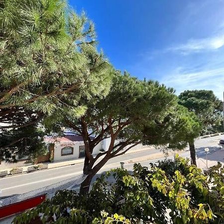 Joli Studio Calvi 50M Plage Luaran gambar