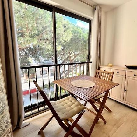 Joli Studio Calvi 50M Plage Luaran gambar