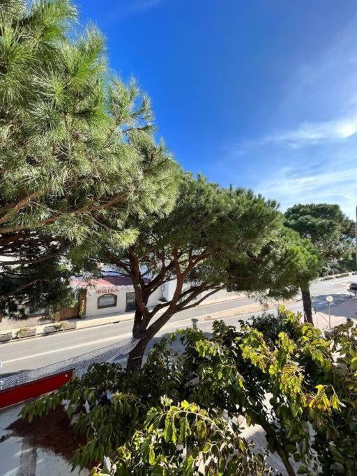 Joli Studio Calvi 50M Plage Luaran gambar